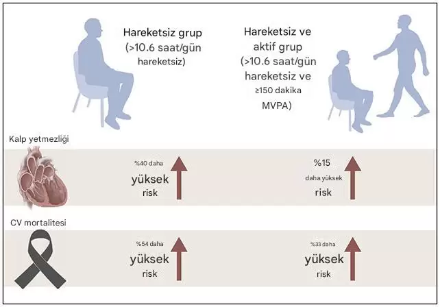 Fazla Oturmak Egzersiz Yapsanız Bile Zararlı Olabilir: Yeni Araştırma Uyarıyor