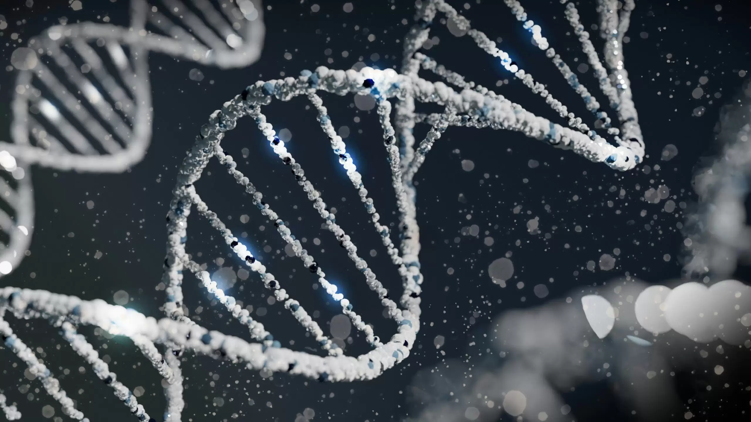 DNA Testleri İki Kişinin Akraba Olduğunu Nasıl Belirler?