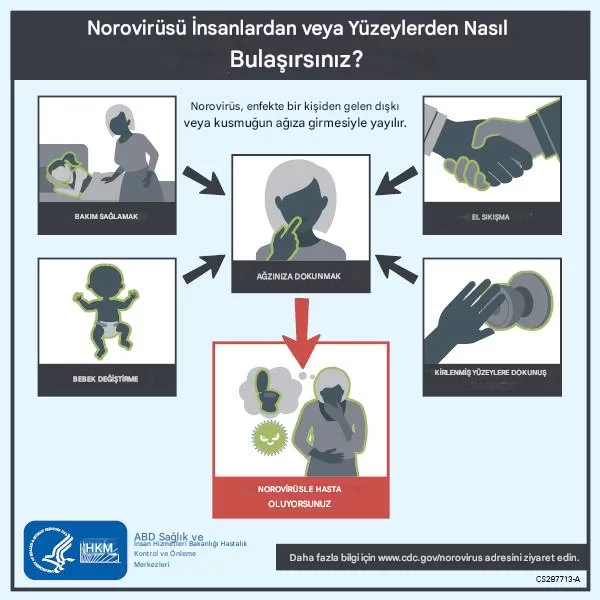 ABD'de Norovirüs Vakalarında Endişe Verici Artış: CDC Uyardı