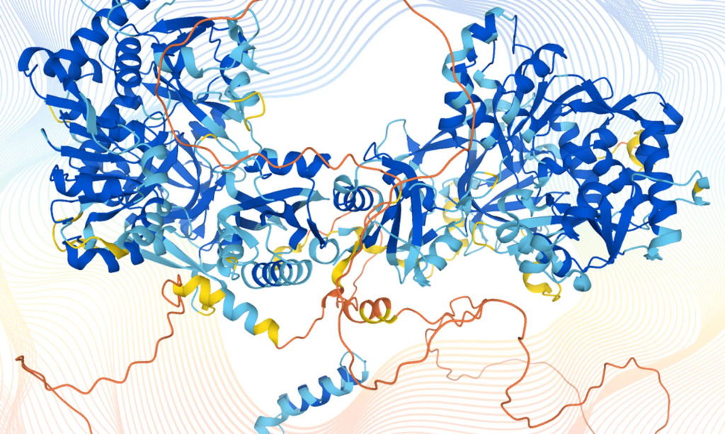 MIT Araştırmacıları, Proteinlerin Hücre İçinde Nereye Gideceğini Tahmin Eden Yapay Zekâ Modeli Geliştirdi